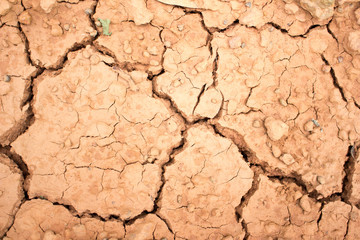 Dry land, Ground caused by drought.