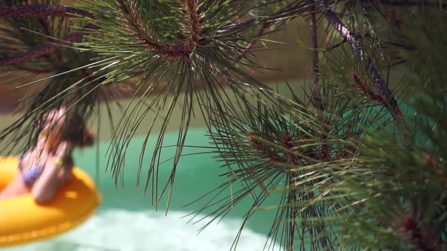 Beautiful descent through the water among the pines. People (in a fuzzy focus) on vacation are floating on an inflatable circle in crystal clear water.