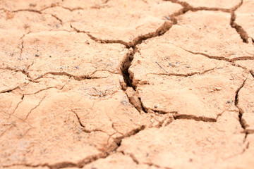 Dry land, Ground caused by drought.