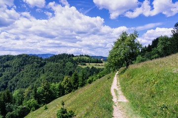 Fototapeta na wymiar Hiking in Skofja loka hills.
