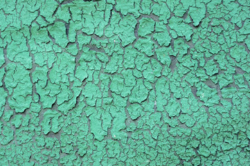 Green wall peeling background for design