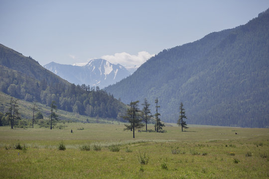 Mountain Altai landscape, Russia
