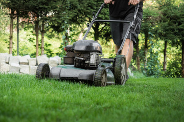 The lawn is mown with the lawn mower