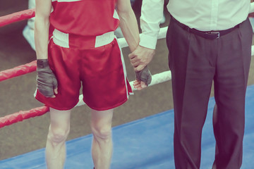 Referee holds the boxer by the hand in the ring
