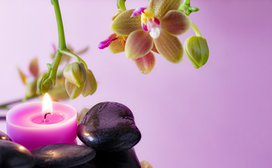 composizione con candelina e orchidea