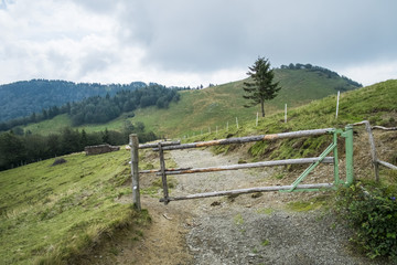 Fototapeta na wymiar Cattle gate on mountain pastures in Slovenia.