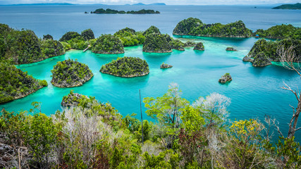 Pianemo islands surrounded by azure clear water and covered by green vegetation. Raja Ampat, West Papua, Indonesia