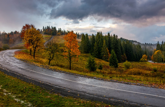 countryside road through forest in stormy weather