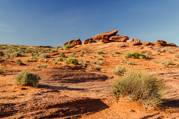 The bright orange of the sand and sandstone rock formations create an almost alien landscape in the desert near the Grand Canyon's Horseshoe Bend, just south of Page, Arizona. 