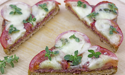 Toasted slice of bread with salami, Tomato, cheese, mozzarella, oregano