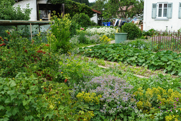 Fototapeta na wymiar Gemüsebeete, Kräuterbeete, Regentonne, D, Bayern, Schwaben, Idylle in Bauerngarten in Fultenbach