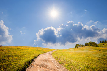 Summer sunny alpine meadow