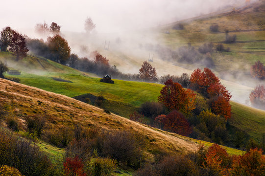 thick fog on hilly rural fields in autumn