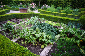Fototapeta na wymiar Bauerngarten im Sommer mit blühenden Blumen, Salat- und Gemüsebeeten von Buchs eingefasst