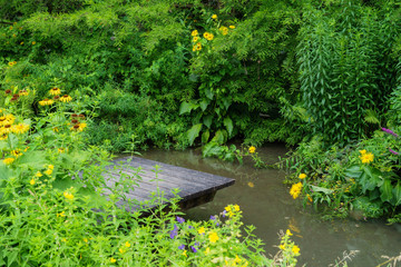 Garten im Sommer, mit gelb blühende Pflanzen in saftigem Grün am Gartenteich