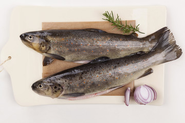 Fresh trouts from above.