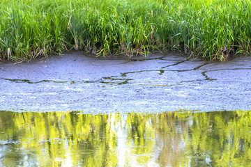 Muddy water in a pond