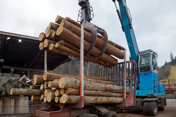 Blue log loader machine is carrying and loading a pile of wood timber on a wheeled carrier at lumber mill yard