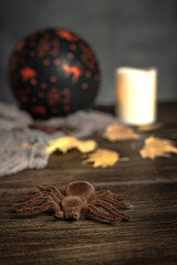 Halloween decoration background
