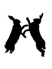 Fighting Hares, Vector Silhouette Illustration