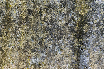 Stone texture