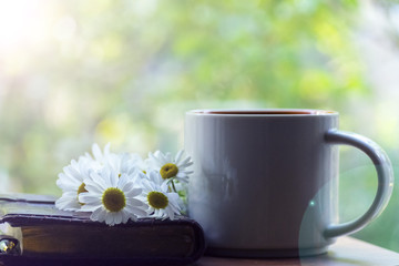 Mug, daisies, Notepad, glasses. The concept of a Sunny summer morning.