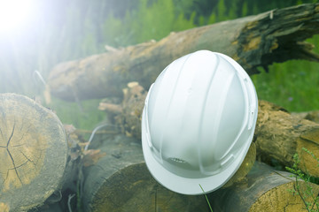 Engineering helmet on the logs. Logging