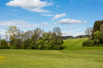 Fototapeta premium Allgäulandschaft