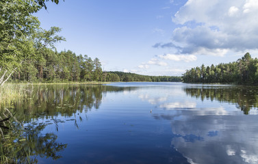 Fototapeta na wymiar Beautiful sunny summer day next to lake in Finland