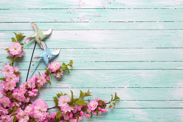 Pale pink  almond  flowers and decorative windmills on turquoise wooden background.