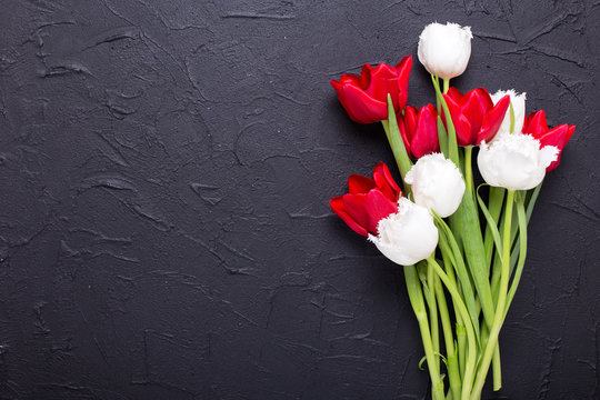 Bright Red And White Tulips Flowers  On Black Textured  Background.