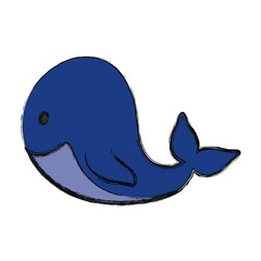 Cute whale cartoon