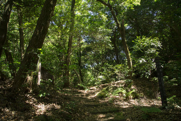 Obraz premium 丸尾自然探勝路