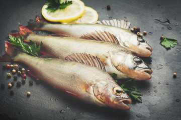 Fresh fish with aromatic herbs, spices, salt. Raw perches on dark slate tray