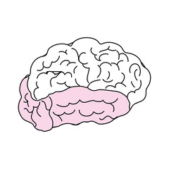 Human brain symbol