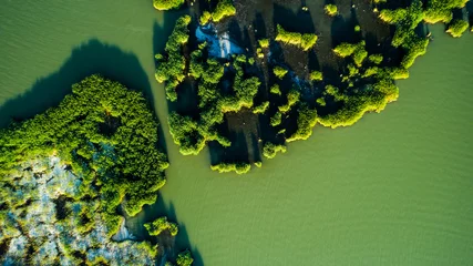  Aerial view Reeds island in the lake on Hungary, Sukoro, Velence. © janossygergely