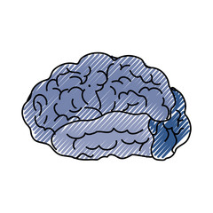 Human brain symbol