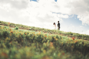 Fototapeta premium Young newly wed couple, bride and groom kissing, hugging on perfect view of mountains, blue sky
