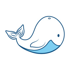 Cute whale cartoon