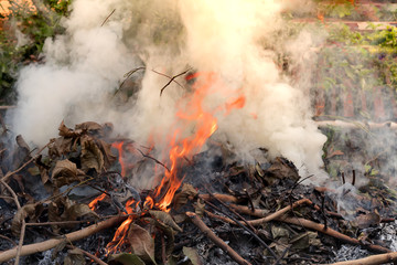fire burning refuse, poisonous smoke,cause of wildfire, Causes by Global Warming
