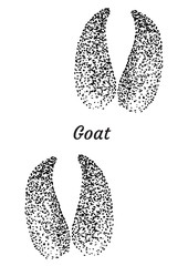 Goat footprint illustration, drawing, engraving, ink, line art, vector