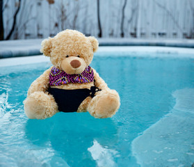 teddy bear on ice