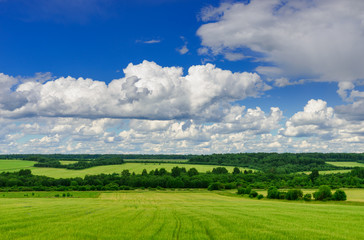 Blue sky with clouds over a green field.