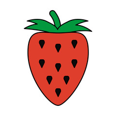fruit icon image