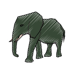 Elephant cartoon isolated