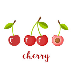 Pair of three cherries, isolated vector illustration