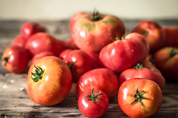 ripe Tomatoes on wooden background