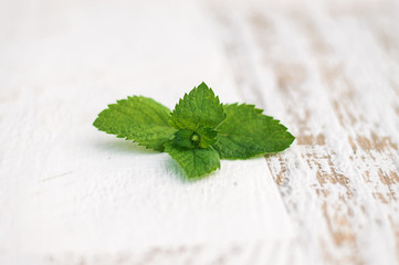Mint leaves on a white wooden background © mariyakuprevich