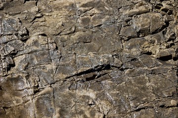 background from sea stone