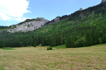 krajobraz górski w Tatrach Słowackich